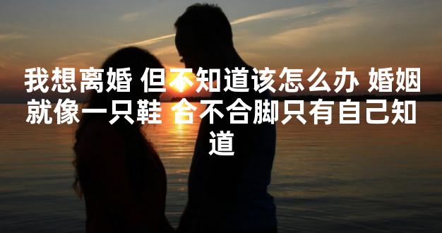我想离婚 但不知道该怎么办 婚姻就像一只鞋 合不合